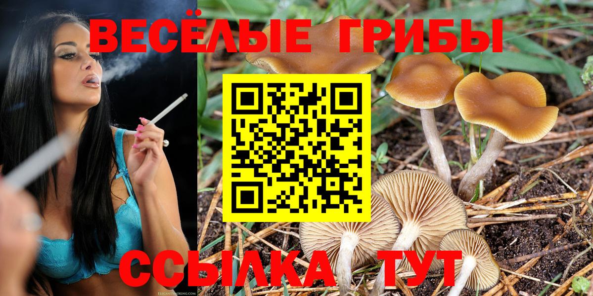 Галлюциногенные грибы Magic Shrooms  закладка  Чита  Вход с VPN 