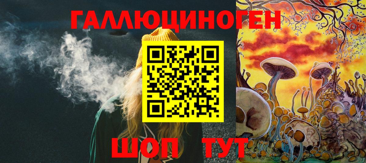 Галлюциногенные грибы Psilocybine cubensis Чита